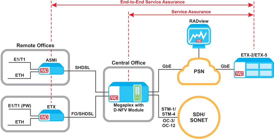 Hybrid TDM and Ethernet Access