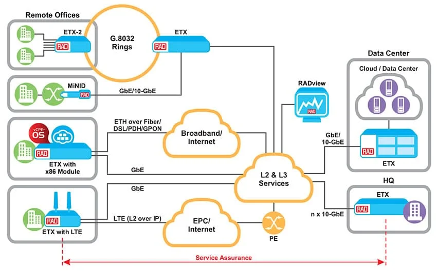 Carrier Ethernet and IP VPNs