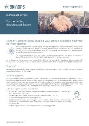 03br-professional_services_sales_primer-ekinops